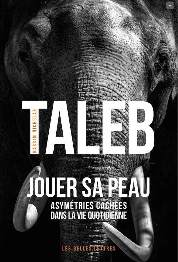Performance commerciale Taleb