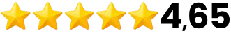 Performance commerciale icon book stars